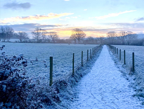 Winter Stiffness Joint Pain The Heeler Centre Hassocks